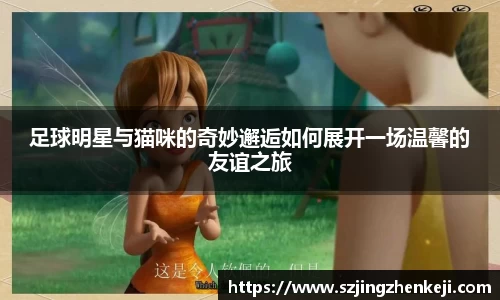 足球明星与猫咪的奇妙邂逅如何展开一场温馨的友谊之旅